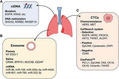 Clinical applications of circulating biomarkers in non-small cell lung cancer